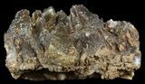 Dogtooth Calcite Crystal Cluster - Morocco #57377-2